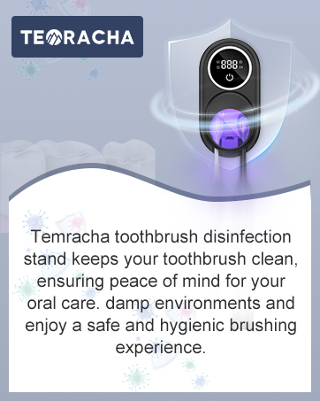 Toothbrush Holder
