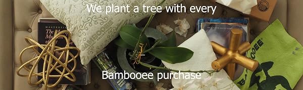 Bambooee as seen on SharkTank