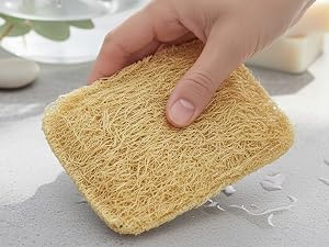 loofah scrubber dishes