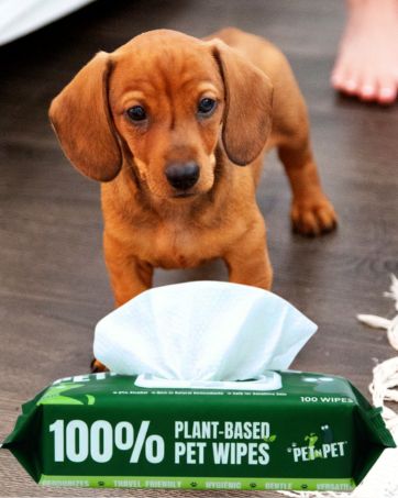 dog grooming wipes