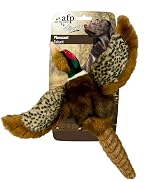 dog toy