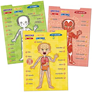 BEST LEARNING i-Poster My Body - Jogo Interativo Educacional de Anatom