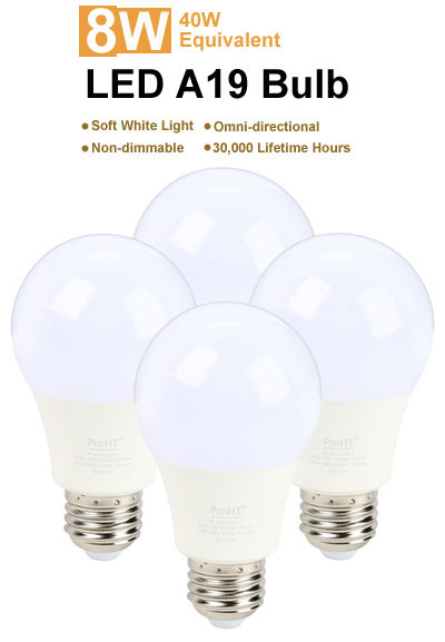 picture of the bulbs