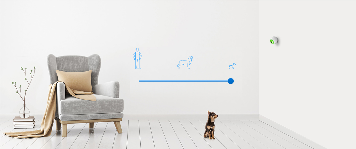 Motion Sensor
