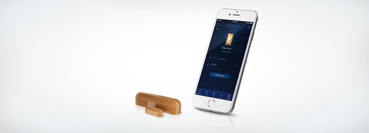 Door / Window Sensor