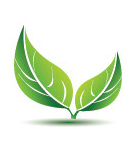 Long-lived lampless light