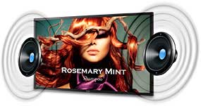 Viewsonic CDE4600-L LED Display