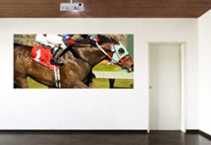 HD ready home entertainment projector