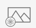 Picture and Color icons