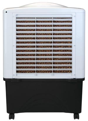 Honeywell