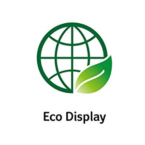 Eco Display Icon