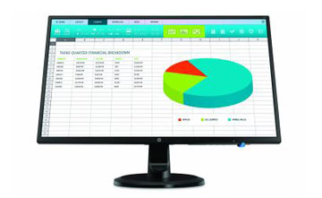 HP N246v 23.8-inch Monitor 