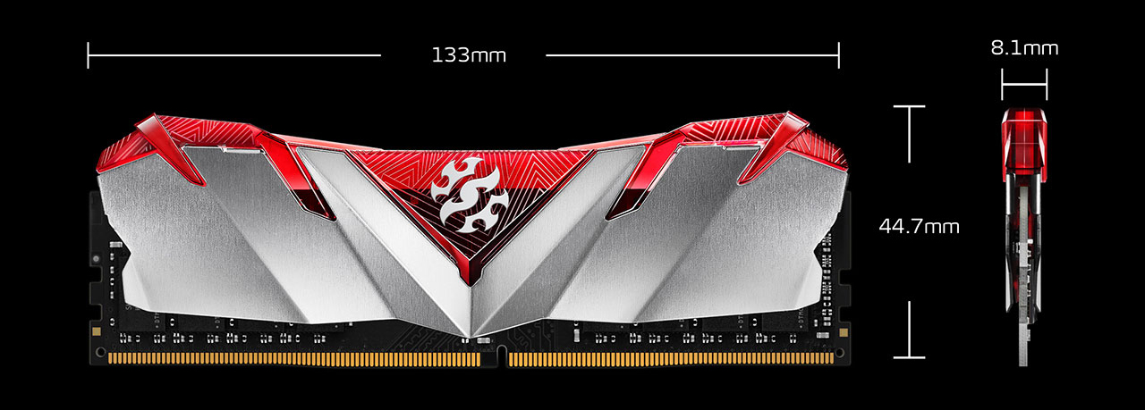 Dimensions of the memory module