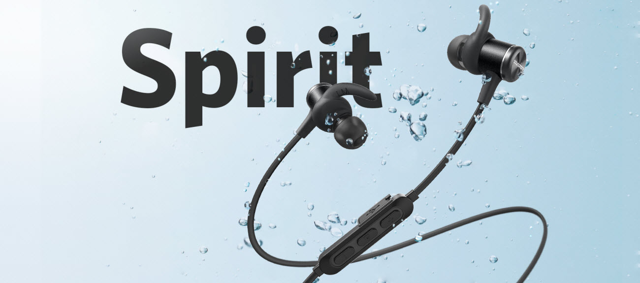 image for this item