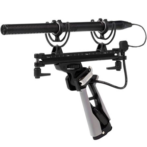 rodemic