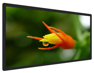 Planar PS Series Touch