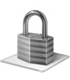 image for this item