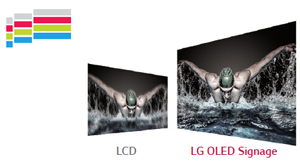 image for this item