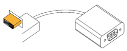 General information