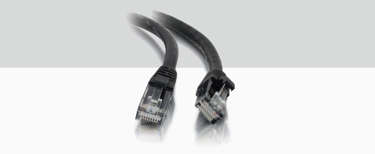 Close-up view of two ends of an Ethernet cable