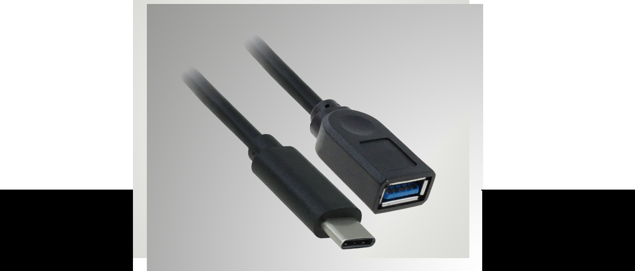 Two ends of a cable are on display.  