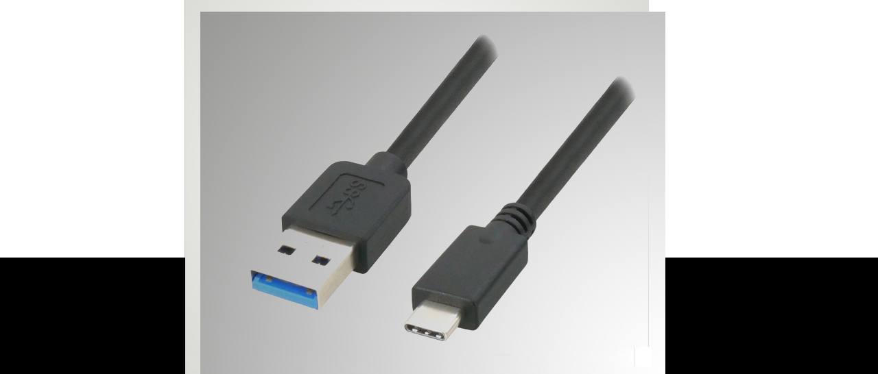 Two ends of a cable are on display.  