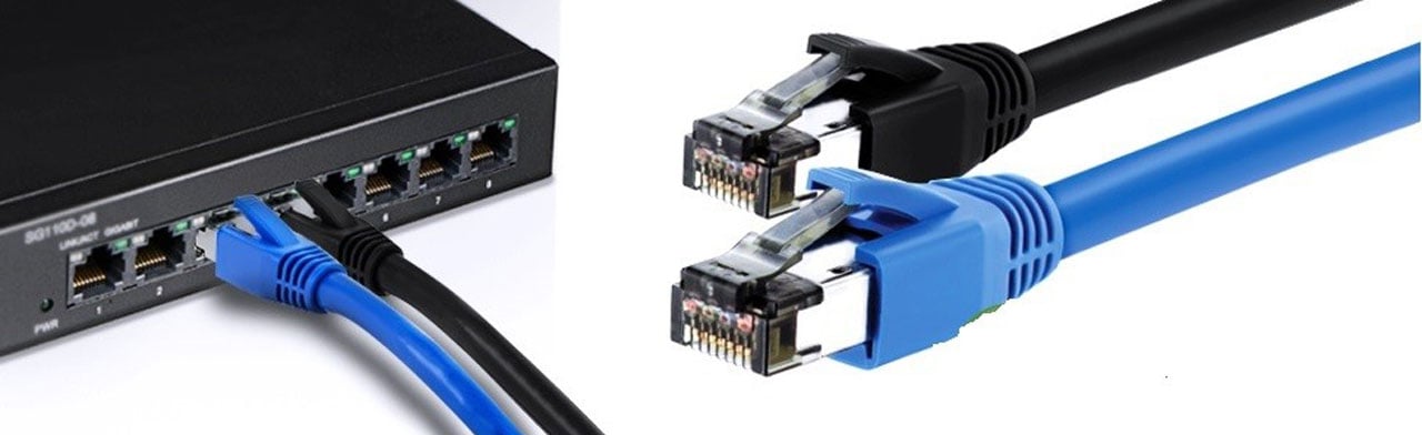 Two cables with one black and the other one blue are on display. Another two cables are plugged into a switch.