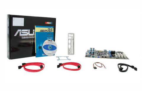 ASUS Motherboard