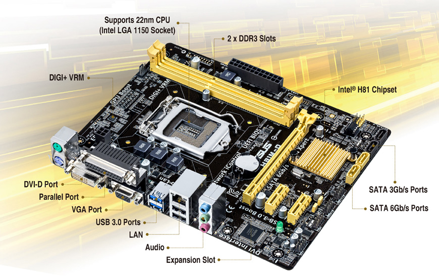 ASUS H81M-D Intel Motherboard