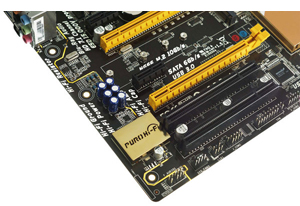 Biostar