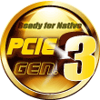PCI-E Gen 3.0