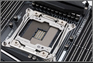 X299
