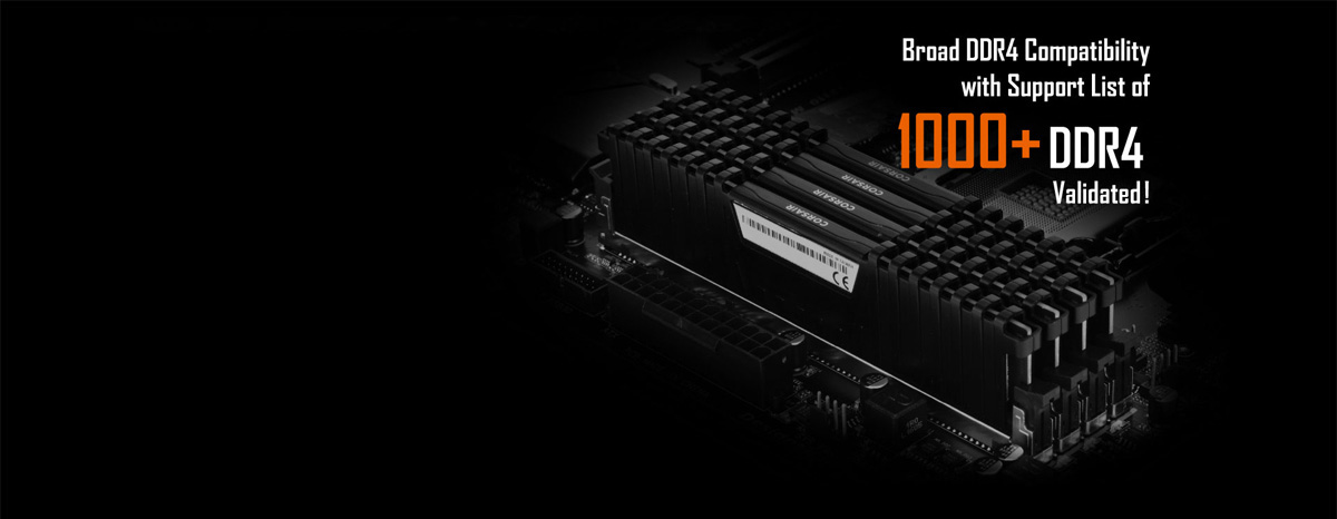 x299