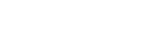 X299