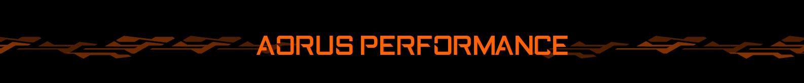 X299