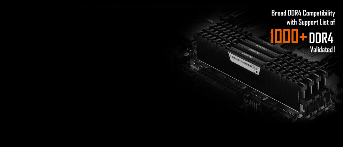 X299 