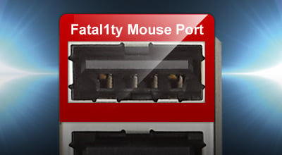 Closeup of the the Fatal1ty mouse port