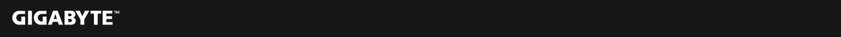 GIGABYTE Logo