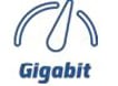 Gigabit Text and Speedometer