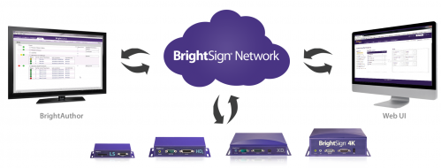 BRIGHTSIGN XD