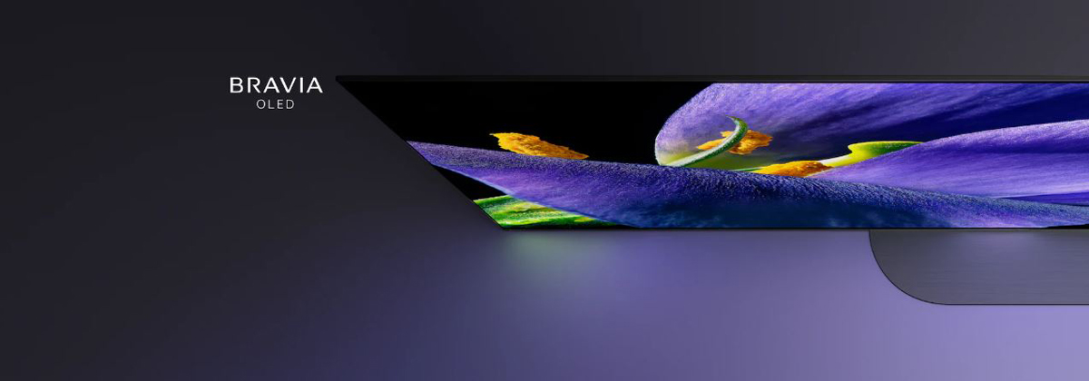 The left part of MASTER Series A9G TV is seen from airial angle, showing a purple flower in detail.