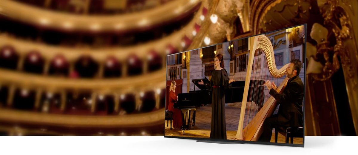 Concert hall performance is displayed on the TV. In the background is the concert hall.
