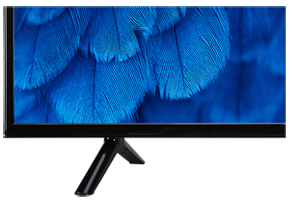 TCL