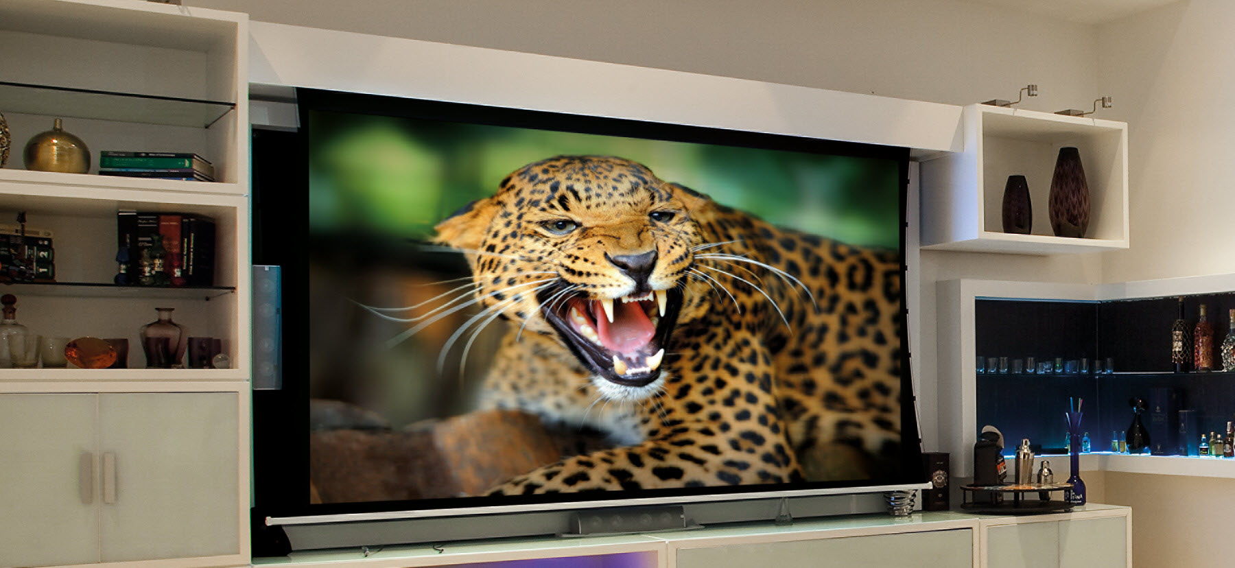 EluneVision AudioWeave installed in a living room showing a picture of jaguar