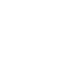 NOISE-CANCELLING MIC