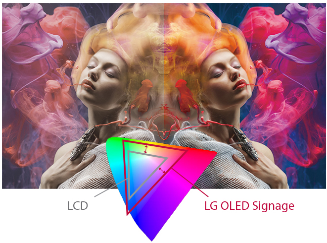 A graphic on the LG commercial display showing off the LG OLED signage color depth as compared to LCD