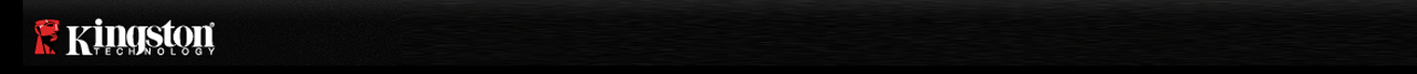 Kingston Technology Logo Bar