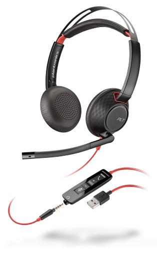 image for this item