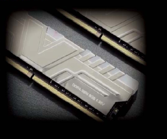 closeup of two gray v-color memory modules