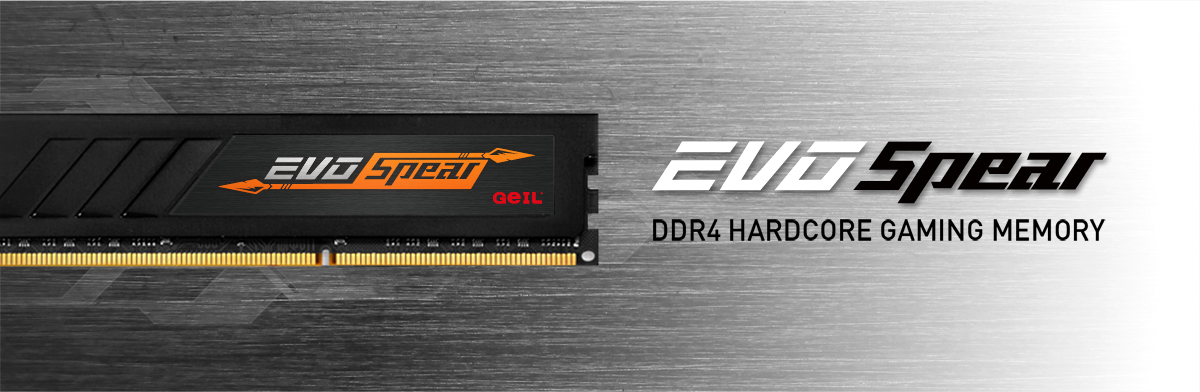 GeIL EVO SPEAR 16GB (2 x 8GB) DDR4 3200 (PC4 25600) Desktop Memory